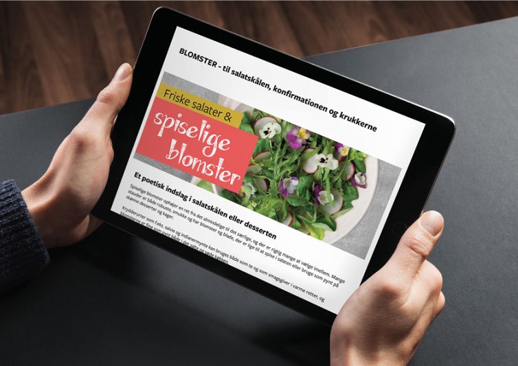 Nyhedsbrev_ipad